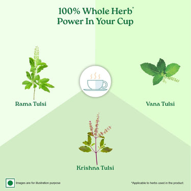 A TATA Product - Organic India Tulsi Green Tea Classic - 25 Tea Bags, Uplifts Mood, Rich in Antioxidants, Blend of Rama, Krishna & Vana Tulsi, Certified Organic